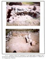 Cronica Cercetărilor Arheologice din România, Campania 2001. Raportul nr. 49