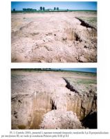 Cronica Cercetărilor Arheologice din România, Campania 2001. Raportul nr. 53