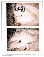 Cronica Cercetărilor Arheologice din România, Campania 2001. Raportul nr. 53