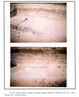 Cronica Cercetărilor Arheologice din România, Campania 2001. Raportul nr. 53