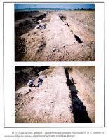 Cronica Cercetărilor Arheologice din România, Campania 2001. Raportul nr. 53
