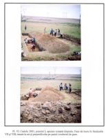 Cronica Cercetărilor Arheologice din România, Campania 2001. Raportul nr. 53