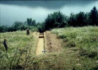 Cronica Cercetărilor Arheologice din România, Campania 2001. Raportul nr. 55