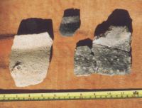 Cronica Cercetărilor Arheologice din România, Campania 2001. Raportul nr. 56