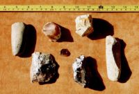 Cronica Cercetărilor Arheologice din România, Campania 2001. Raportul nr. 56