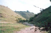 Cronica Cercetărilor Arheologice din România, Campania 2001. Raportul nr. 62