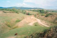 Cronica Cercetărilor Arheologice din România, Campania 2001. Raportul nr. 62