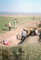Cronica Cercetărilor Arheologice din România, Campania 2001. Raportul nr. 62