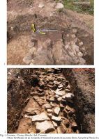 Cronica Cercetărilor Arheologice din România, Campania 2001. Raportul nr. 78