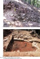 Cronica Cercetărilor Arheologice din România, Campania 2001. Raportul nr. 78