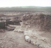 Cronica Cercetărilor Arheologice din România, Campania 2001. Raportul nr. 80