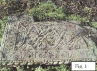 Cronica Cercetărilor Arheologice din România, Campania 2001. Raportul nr. 80
