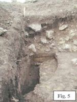 Cronica Cercetărilor Arheologice din România, Campania 2001. Raportul nr. 80