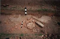Cronica Cercetărilor Arheologice din România, Campania 2001. Raportul nr. 92
