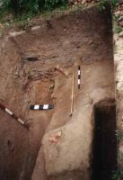 Cronica Cercetărilor Arheologice din România, Campania 2001. Raportul nr. 92