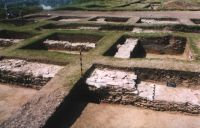 Cronica Cercetărilor Arheologice din România, Campania 2001. Raportul nr. 101