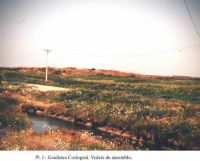Cronica Cercetărilor Arheologice din România, Campania 2001. Raportul nr. 107