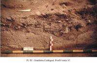 Cronica Cercetărilor Arheologice din România, Campania 2001. Raportul nr. 107