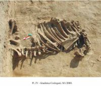 Cronica Cercetărilor Arheologice din România, Campania 2001. Raportul nr. 107