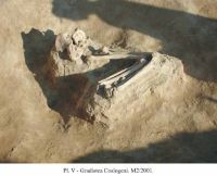 Cronica Cercetărilor Arheologice din România, Campania 2001. Raportul nr. 107