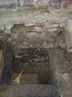 Cronica Cercetărilor Arheologice din România, Campania 2001. Raportul nr. 111
