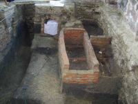 Cronica Cercetărilor Arheologice din România, Campania 2001. Raportul nr. 111
