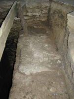 Cronica Cercetărilor Arheologice din România, Campania 2001. Raportul nr. 111