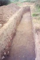 Cronica Cercetărilor Arheologice din România, Campania 2001. Raportul nr. 117