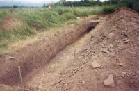Cronica Cercetărilor Arheologice din România, Campania 2001. Raportul nr. 117