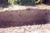 Cronica Cercetărilor Arheologice din România, Campania 2001. Raportul nr. 117