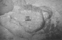Cronica Cercetărilor Arheologice din România, Campania 2001. Raportul nr. 121