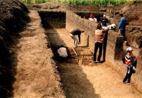 Cronica Cercetărilor Arheologice din România, Campania 2001. Raportul nr. 122