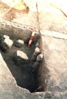 Cronica Cercetărilor Arheologice din România, Campania 2001. Raportul nr. 122