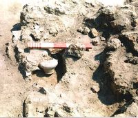 Cronica Cercetărilor Arheologice din România, Campania 2001. Raportul nr. 122