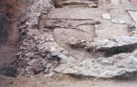 Cronica Cercetărilor Arheologice din România, Campania 2001. Raportul nr. 123