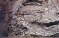 Cronica Cercetărilor Arheologice din România, Campania 2001. Raportul nr. 123