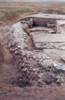 Cronica Cercetărilor Arheologice din România, Campania 2001. Raportul nr. 123