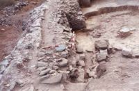 Cronica Cercetărilor Arheologice din România, Campania 2001. Raportul nr. 123