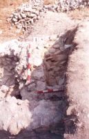 Cronica Cercetărilor Arheologice din România, Campania 2001. Raportul nr. 123