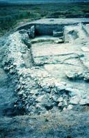 Cronica Cercetărilor Arheologice din România, Campania 2001. Raportul nr. 123