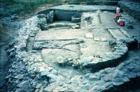 Cronica Cercetărilor Arheologice din România, Campania 2001. Raportul nr. 123