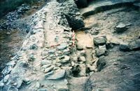 Cronica Cercetărilor Arheologice din România, Campania 2001. Raportul nr. 123