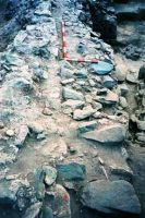 Cronica Cercetărilor Arheologice din România, Campania 2001. Raportul nr. 123