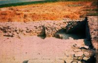 Cronica Cercetărilor Arheologice din România, Campania 2001. Raportul nr. 123