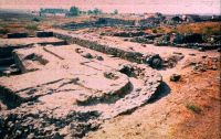 Cronica Cercetărilor Arheologice din România, Campania 2001. Raportul nr. 123