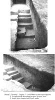 Cronica Cercetărilor Arheologice din România, Campania 2001. Raportul nr. 124