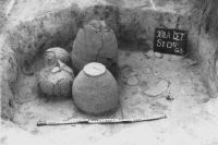 Cronica Cercetărilor Arheologice din România, Campania 2001. Raportul nr. 126