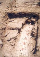 Cronica Cercetărilor Arheologice din România, Campania 2001. Raportul nr. 128.<br /> Sectorul 128bis.