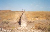 Cronica Cercetărilor Arheologice din România, Campania 2001. Raportul nr. 128.<br /> Sectorul 128bis.