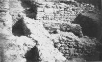 Cronica Cercetărilor Arheologice din România, Campania 2001. Raportul nr. 128